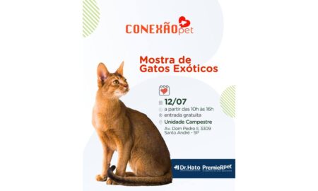 Santo André se rende ao universo felino na 3ª Mostra de Gatos Exóticos do Dr. Hato